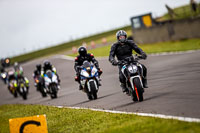 PJ-Motorsport-2019;anglesey-no-limits-trackday;anglesey-photographs;anglesey-trackday-photographs;enduro-digital-images;event-digital-images;eventdigitalimages;no-limits-trackdays;peter-wileman-photography;racing-digital-images;trac-mon;trackday-digital-images;trackday-photos;ty-croes